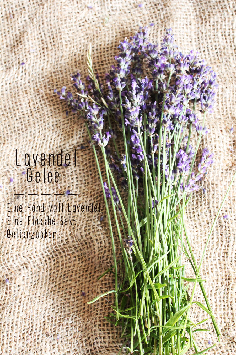 Lavendel Marmelade