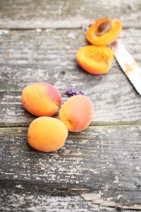 aprikosen kuchen backen